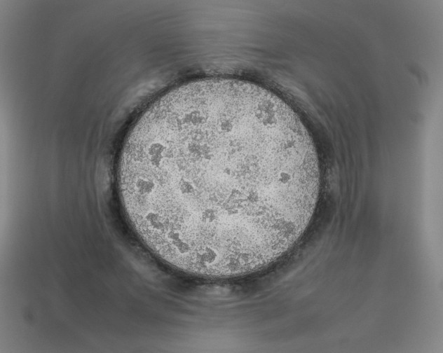 X0000113780687200910211206