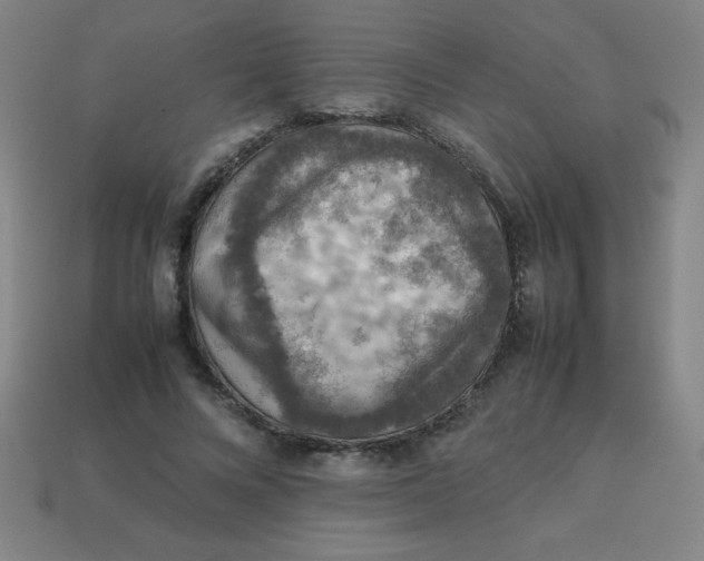 X0000113780688200910211206
