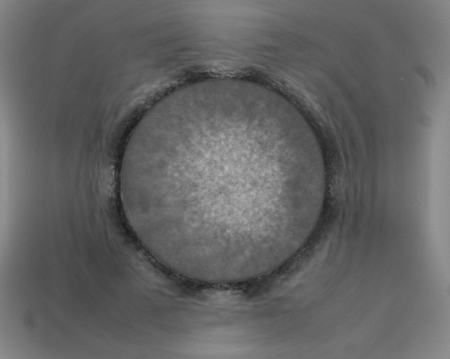 X0000113780689200910211206