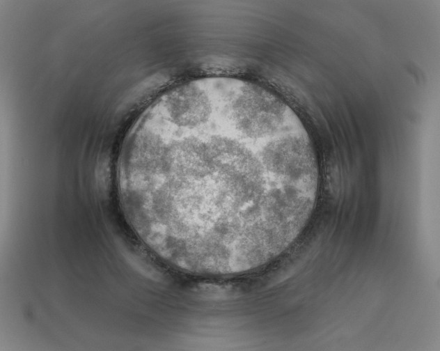 X0000113780690200910211206