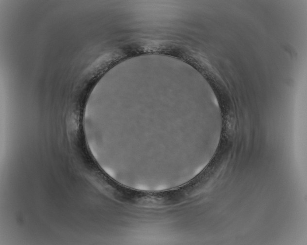 X0000113780691200910211206