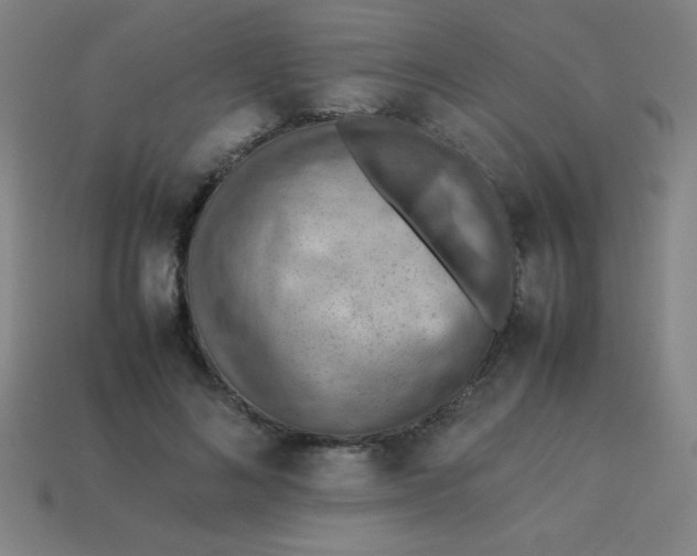 X0000113780692200910211206