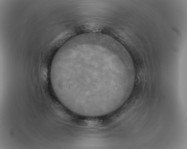 X0000113780693200910211205