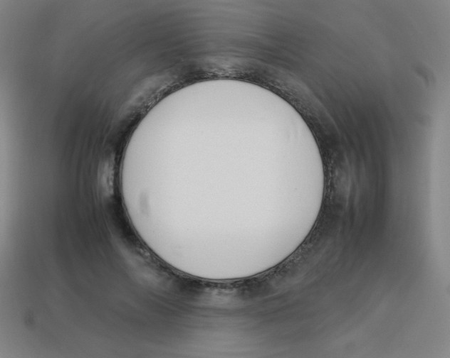 X0000113780694200910211205