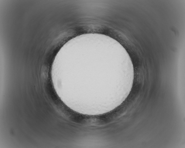X0000113780695200910211205