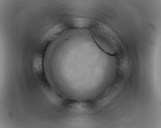X0000113780696200910211205