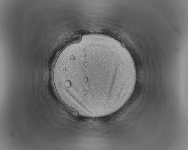 X0000113780697200910211205