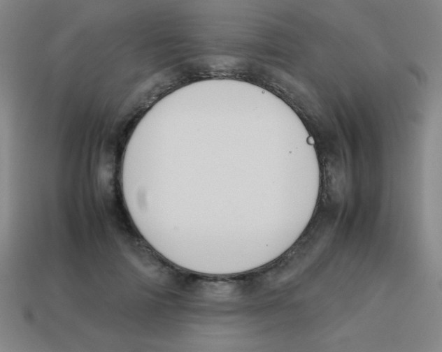 X0000113780698200910211205