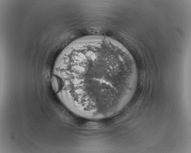 X0000113780699200910211205