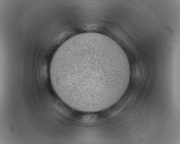 X0000113780700200910211205