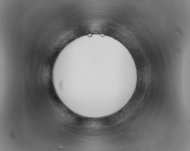X0000113780702200910211205