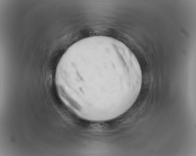 X0000113780703200910211205
