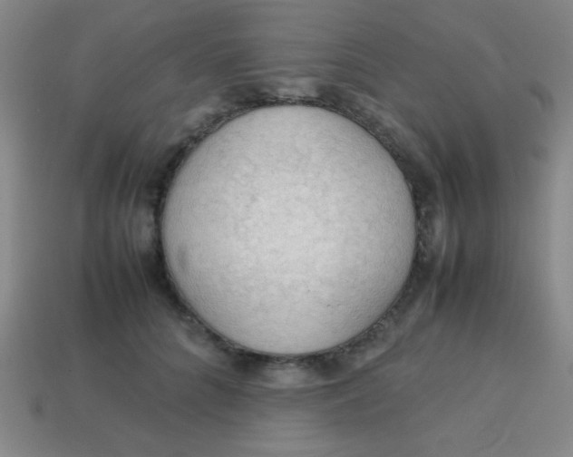 X0000113780704200910211205