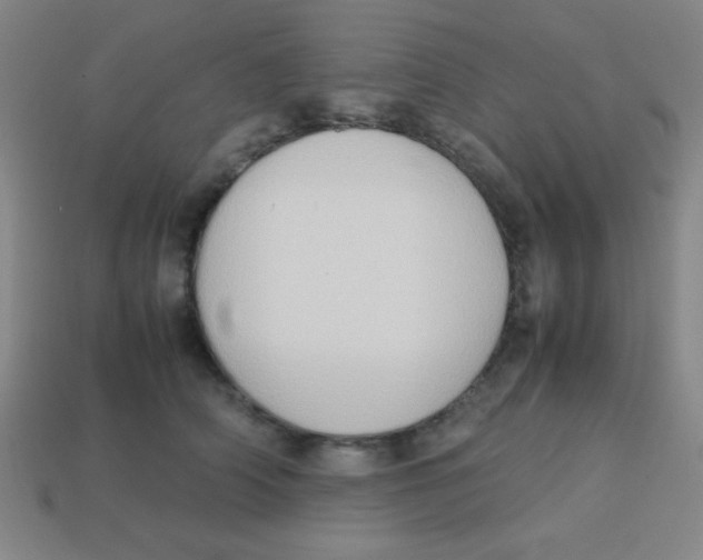 X0000113780706200910211205