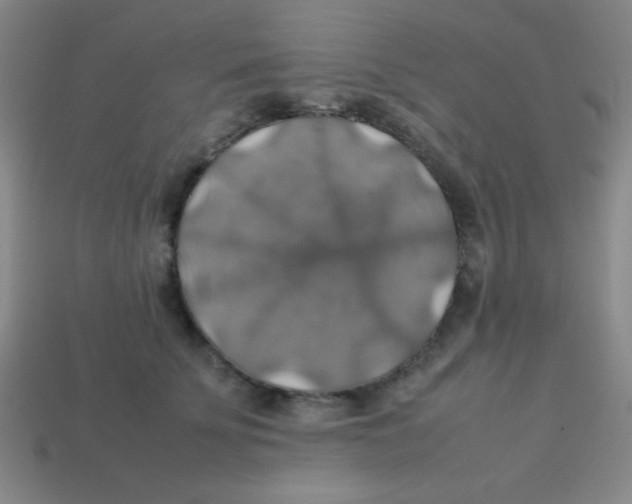 X0000113780707200910211205
