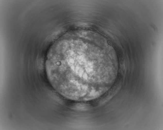 X0000113780708200910211205