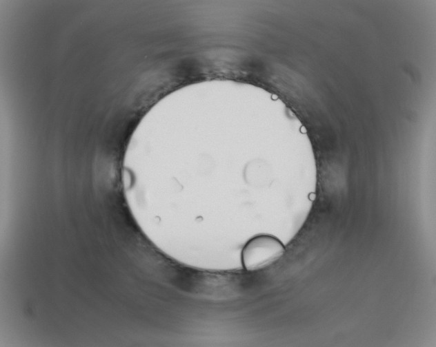 X0000113780709200910211205