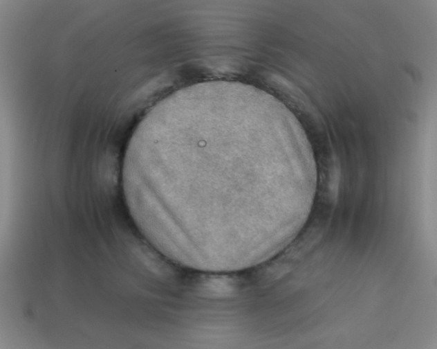 X0000113780710200910211205