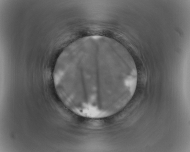 X0000113780711200910211205