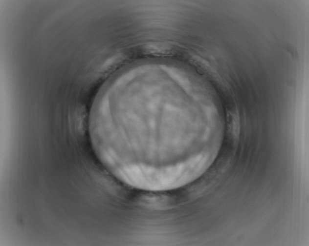 X0000113780712200910211205