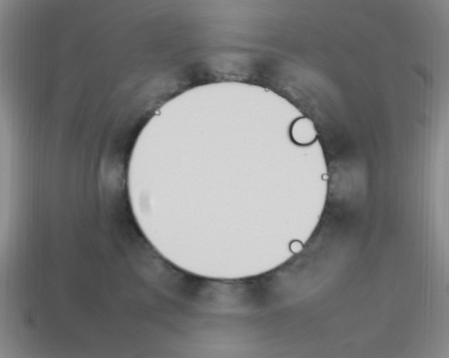 X0000113780713200910211205