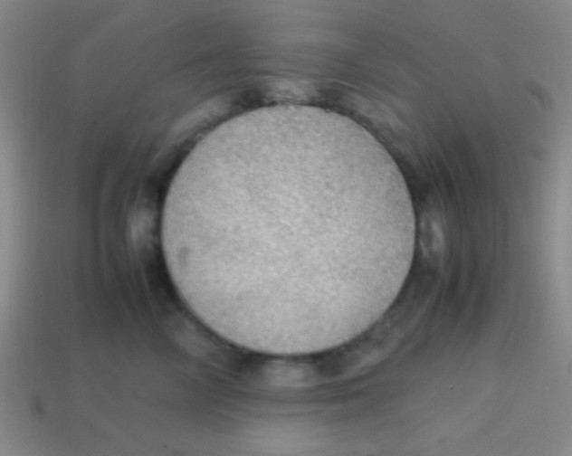 X0000113780714200910211205