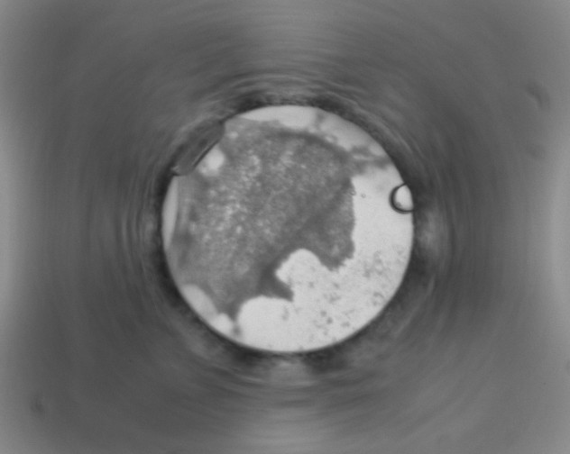 X0000113780715200910211205