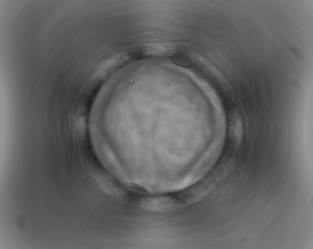 X0000113780716200910211205