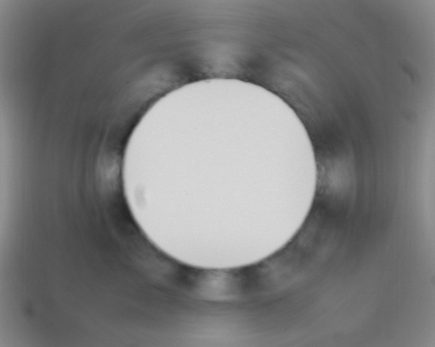 X0000113780717200910211205