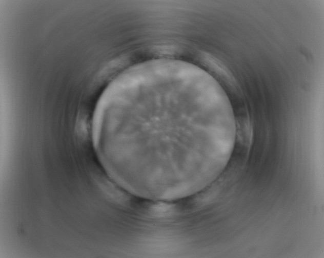 X0000113780718200910211205