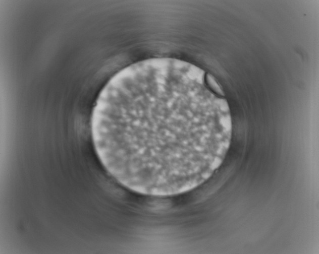 X0000113780719200910211205