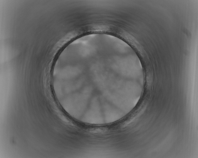 X0000113780721200910211204