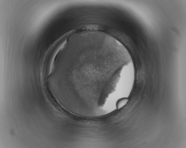 X0000113780722200910211204