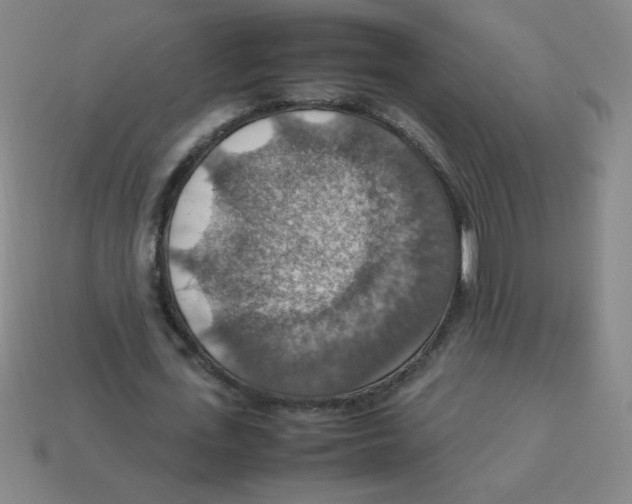 X0000113780723200910211204