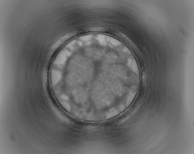 X0000113780725200910211204