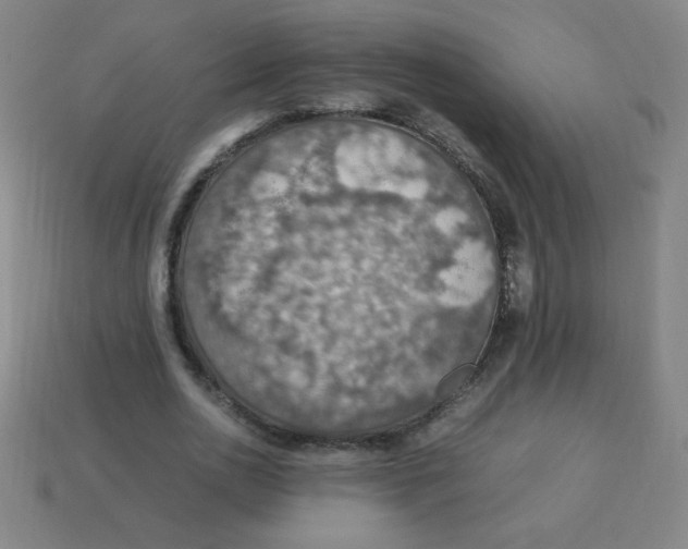 X0000113780726200910211204