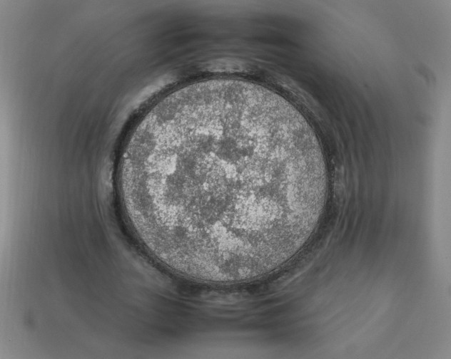 X0000113780727200910211204