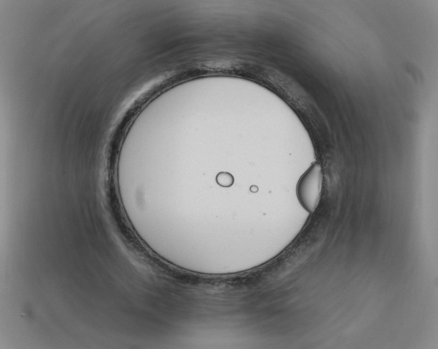 X0000113780728200910211204