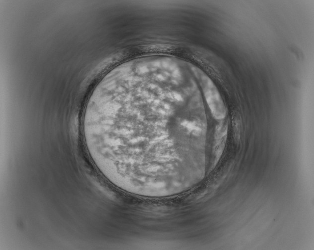 X0000113780729200910211204