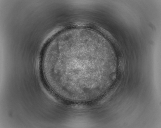 X0000113780730200910211204