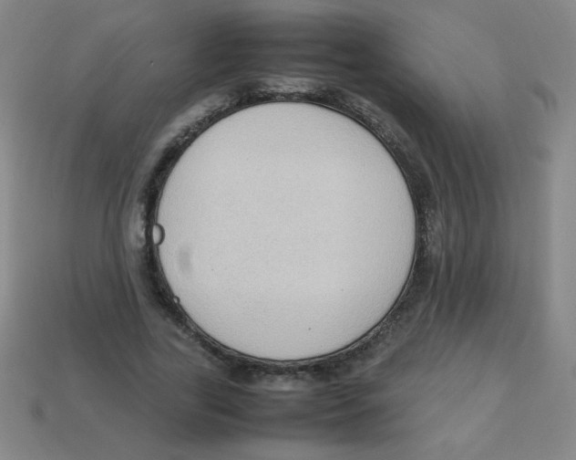 X0000113780731200910211204