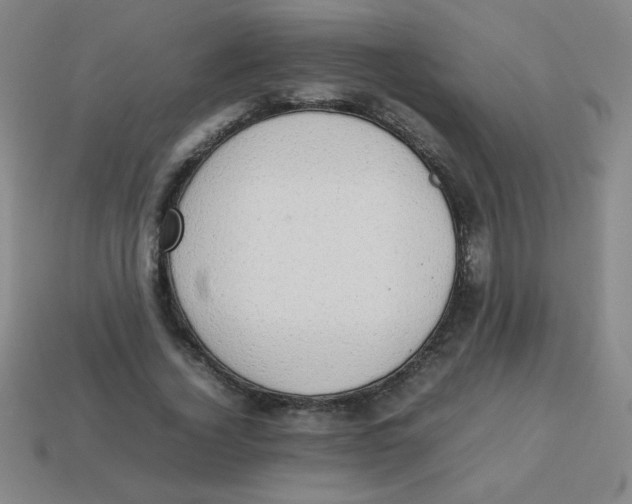 X0000113780732200910211204