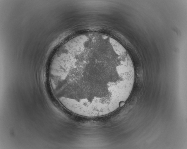 X0000113780734200910211204