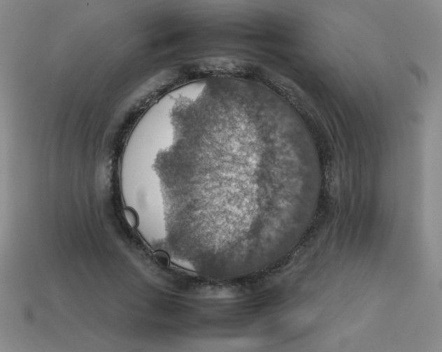 X0000113780735200910211204