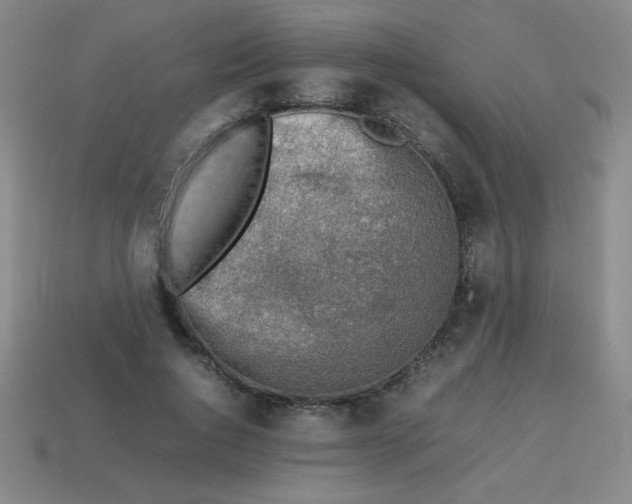 X0000113780736200910211204