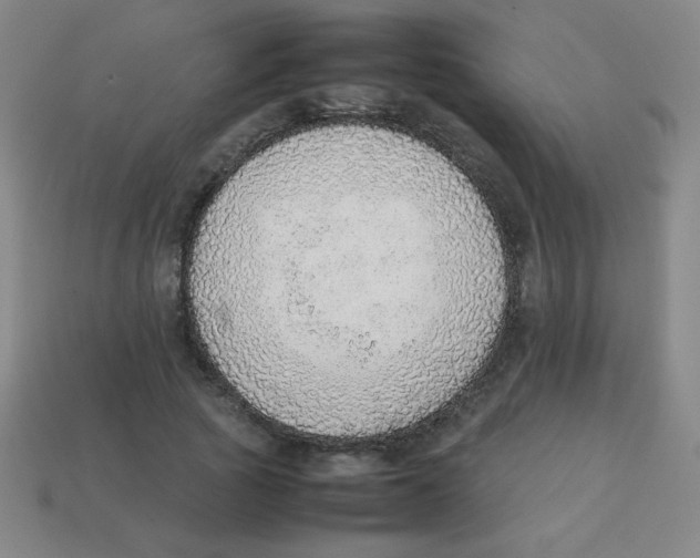 X0000113780737200910211204