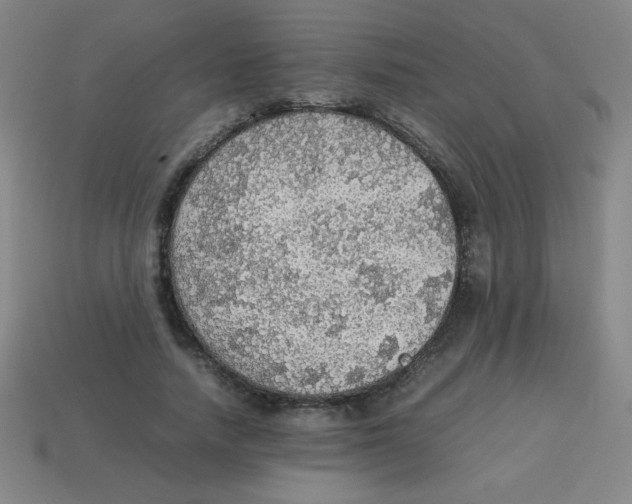 X0000113780738200910211204