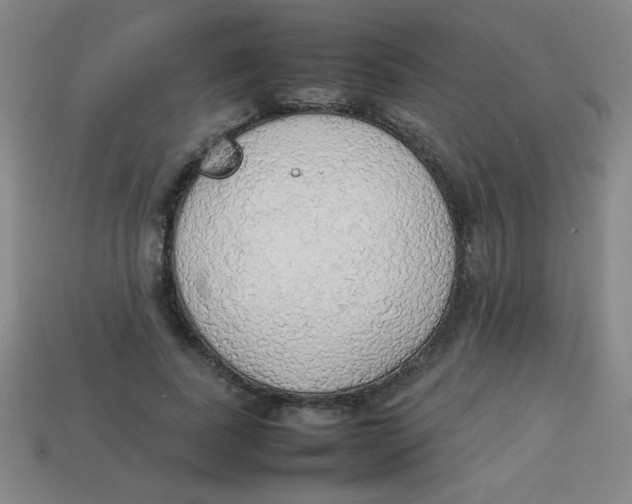X0000113780739200910211204