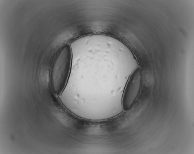 X0000113780740200910211205