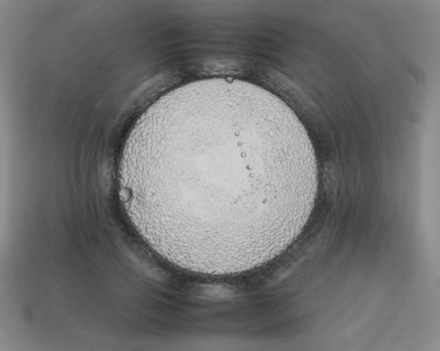 X0000113780741200910211205